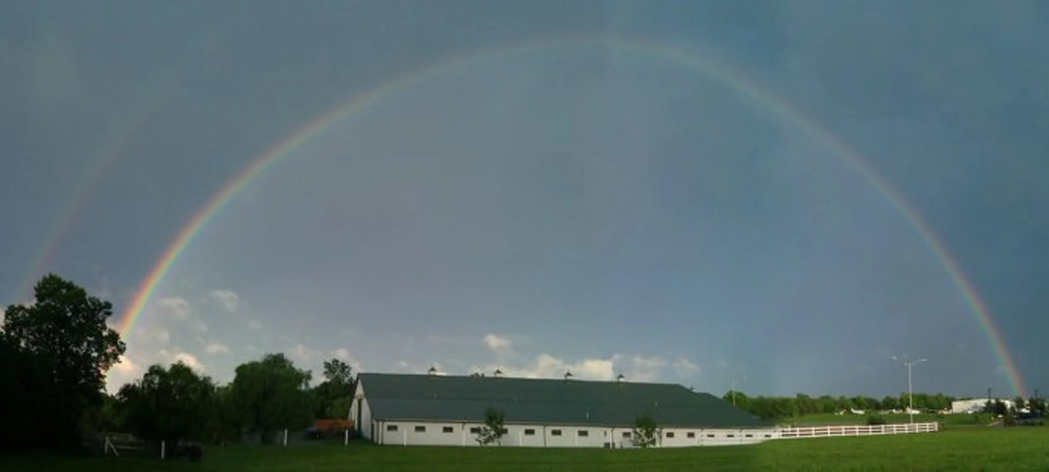 Rainbow outside The Pet Ranch